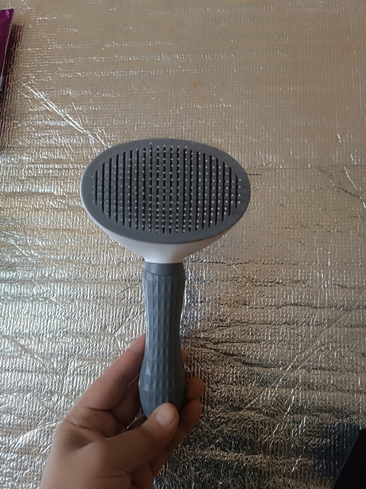 Gri Kedi Tüy Fırçası - Görsel 3