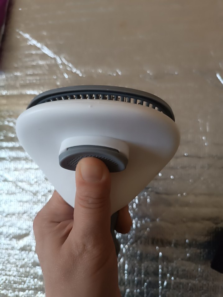 Gri Kedi Tüy Fırçası - Görsel 4