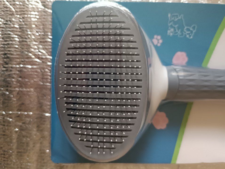 Gri Kedi Tüy Fırçası - Görsel 2