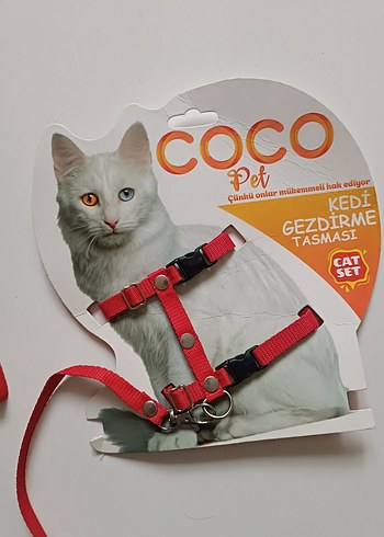 Renkli Kedi Gezdirme Tasması - Görsel 2