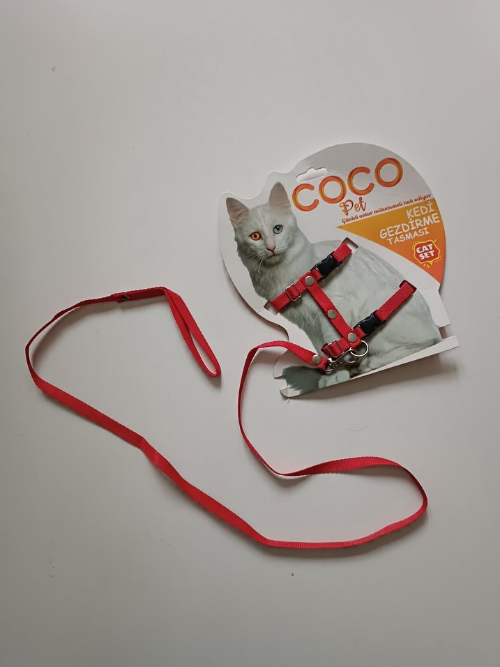 Renkli Kedi Gezdirme Tasması - Görsel 3