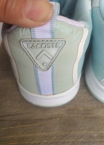 37 Beden Orijinal lacoste