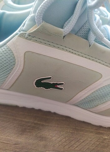 Orijinal lacoste 