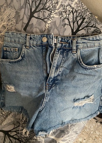 Kot şort - Görsel 2