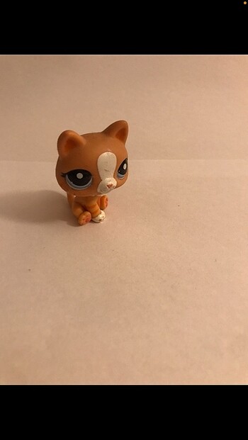  lps miniş