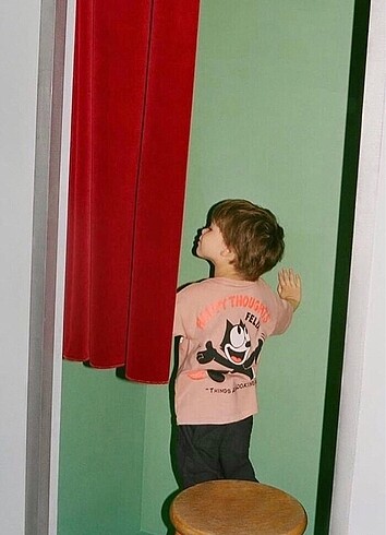 Felix ihraç fazlası Z*ra ürün