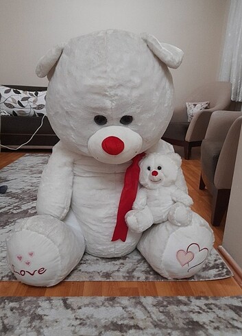  Beden Peluş ayı