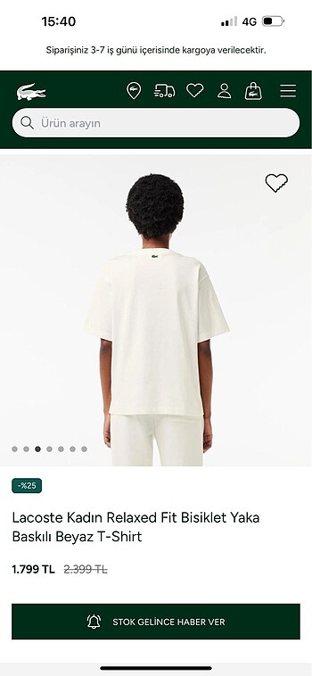 m Beden Lacoste tshırt