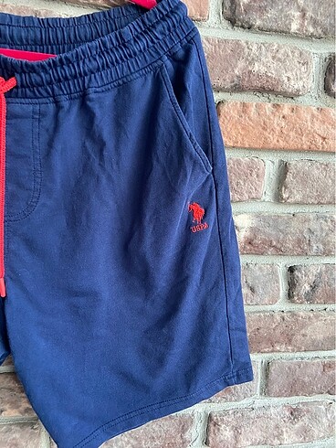 U.S Polo Assn. Erkek şort