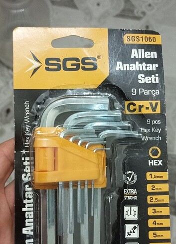 Alyan seti