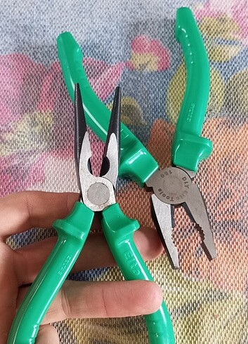 Diğer Pense ve Karaburun