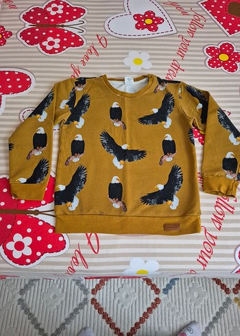 4-5 yaş muhteşem organik kartal sweat - Görsel 9