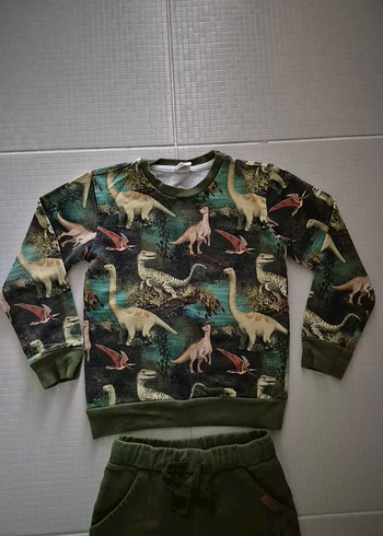 110 cm 4-5 yaş dinozor organik takım - Görsel 11