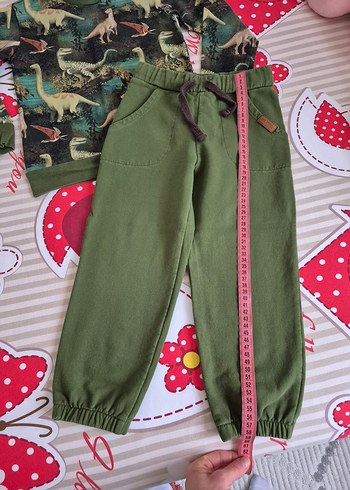 110 cm 4-5 yaş dinozor organik takım - Görsel 8