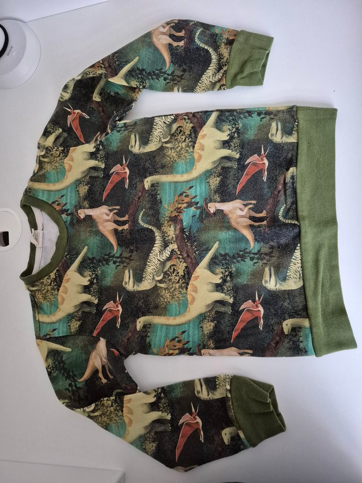 110 cm 4-5 yaş dinozor organik takım - Görsel 2