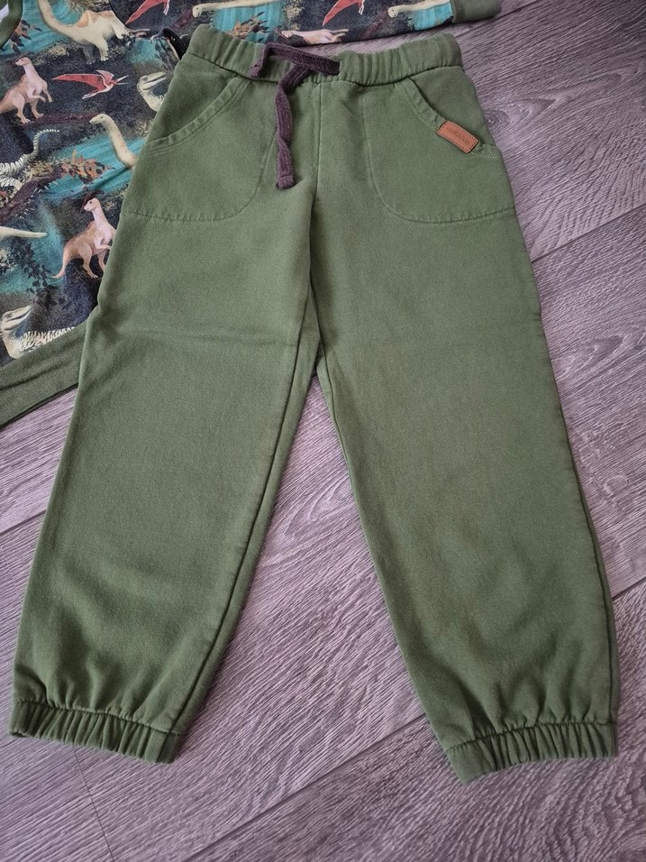 110 cm 4-5 yaş dinozor organik takım - Görsel 4