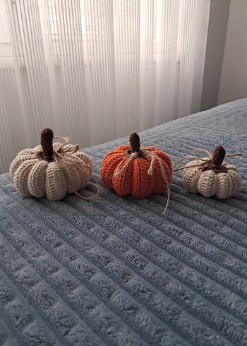 Örgü Kabak Dekorasyon Seti - Görsel 5