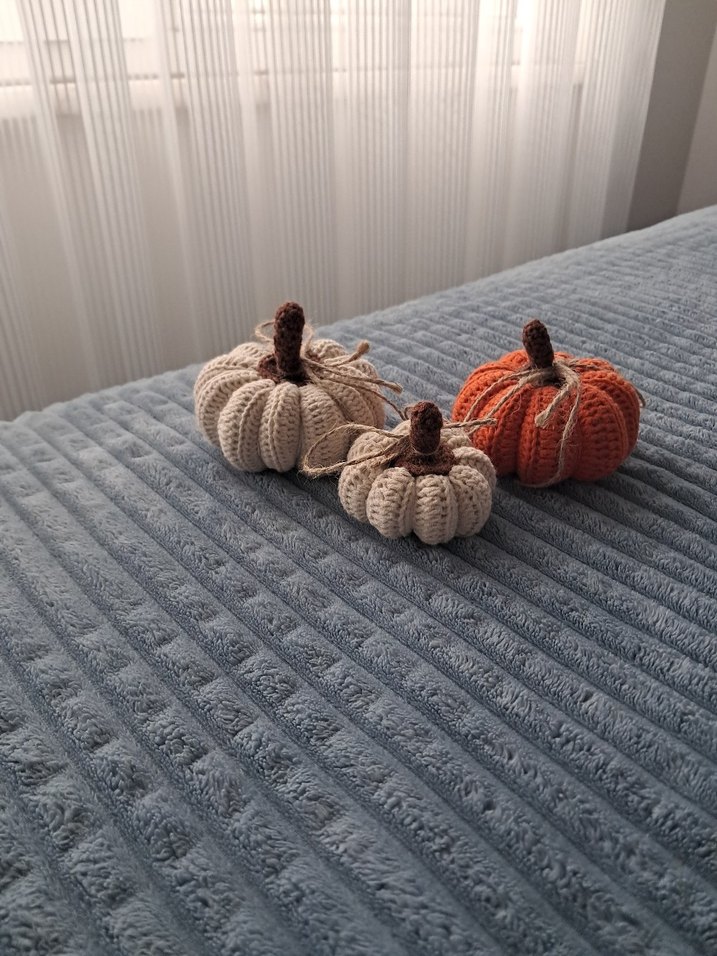 Örgü Kabak Dekorasyon Seti - Görsel 2