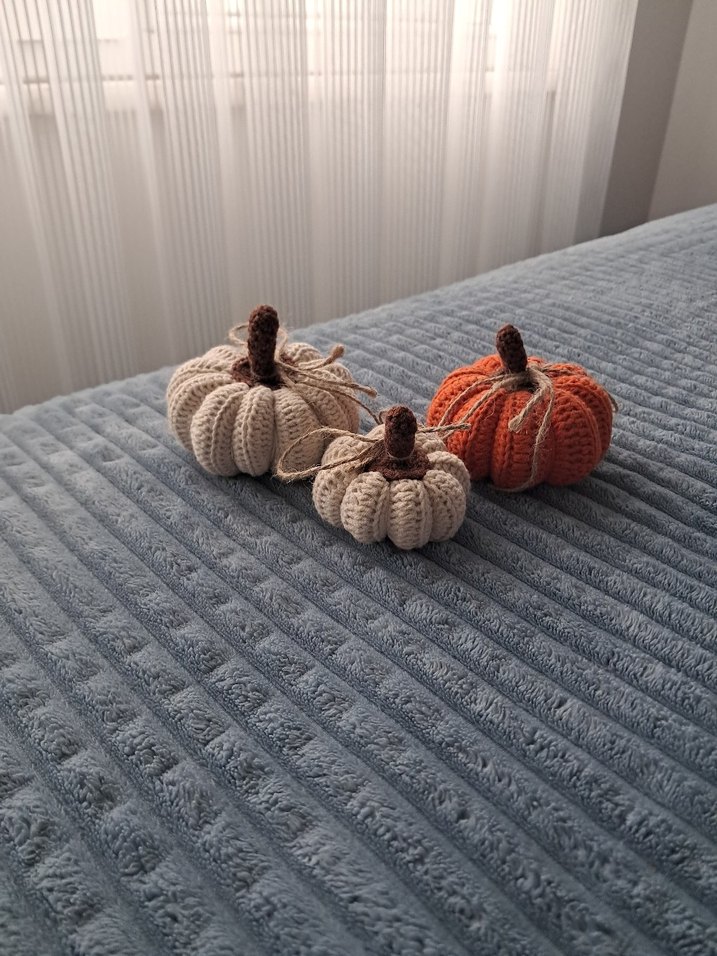 Örgü Kabak Dekorasyon Seti - Görsel 3