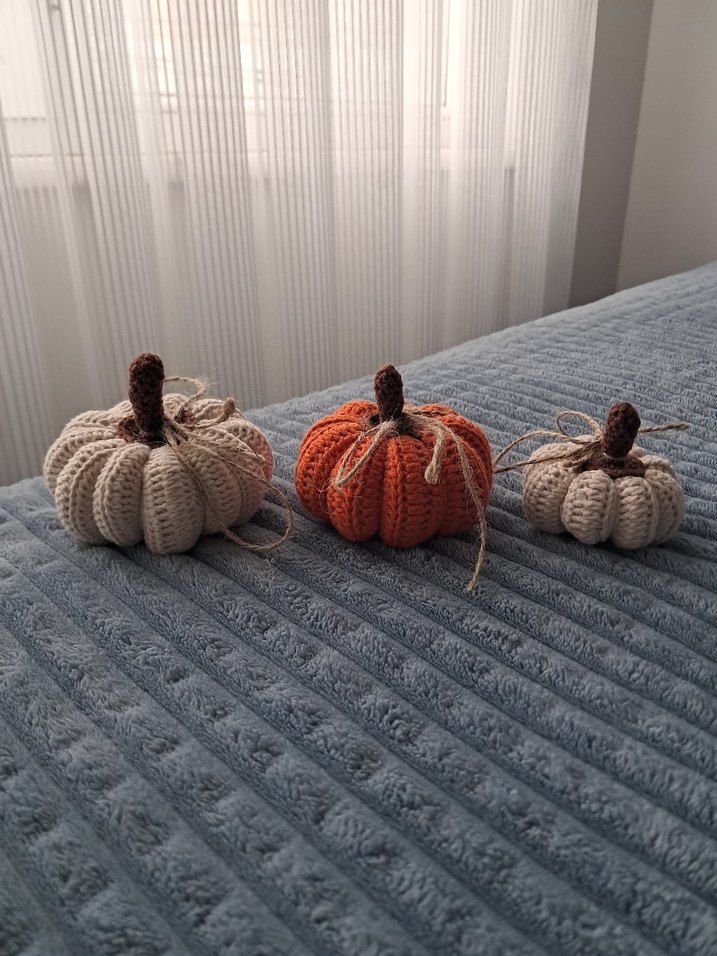 Örgü Kabak Dekorasyon Seti - Görsel 5