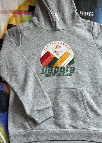 Erkek çocuk Gri Kapüşonlu Baskılı Sweatshirt - Görsel 2