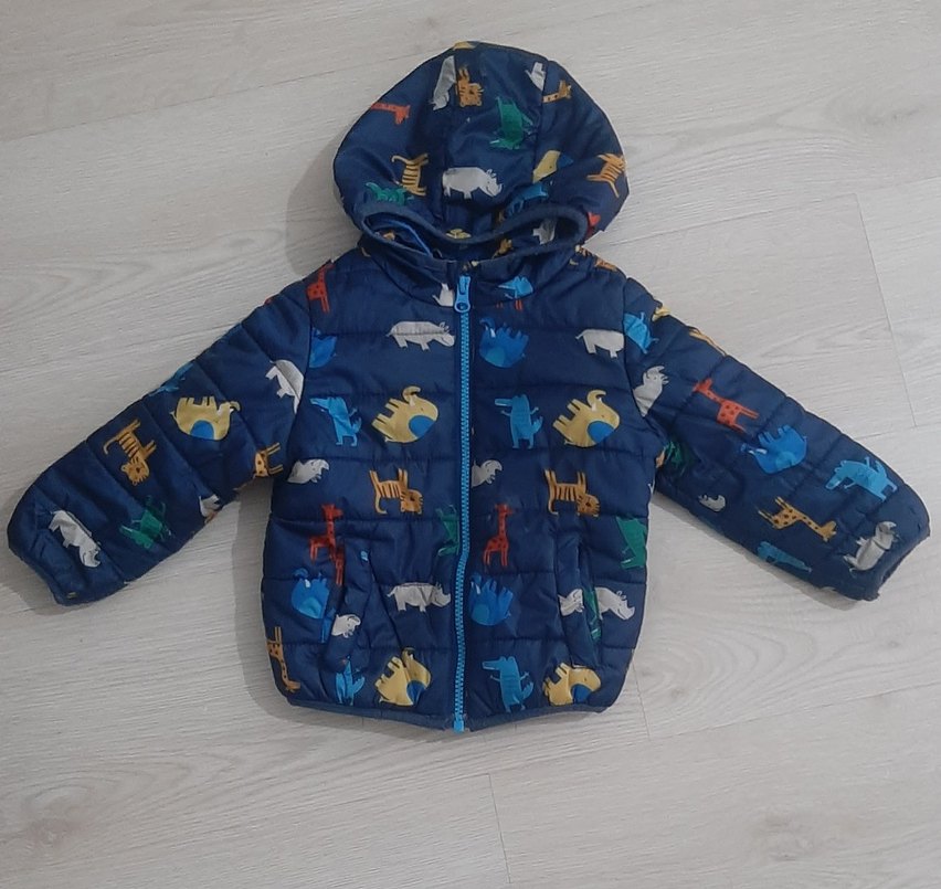 Erkek Çocuk Baskılı Mavi Fermuarlı Mont - Görsel 2