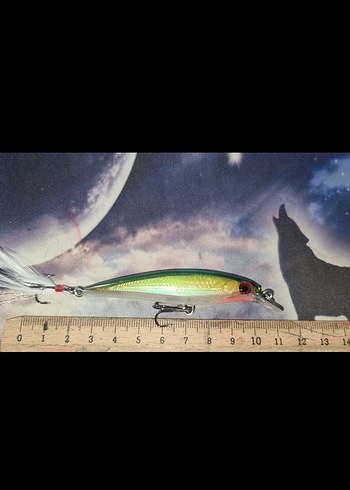 minnow