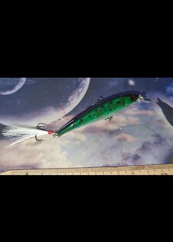  Beden minnow