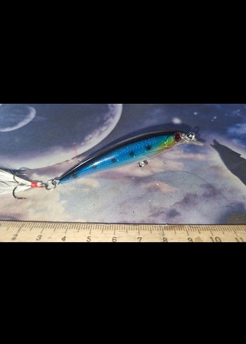 minnow