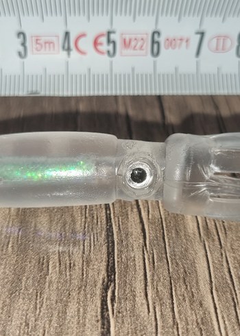 5 Adet Yavru Kalamar - Görsel 5