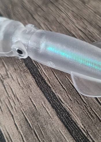 5 Adet Yavru Kalamar - Görsel 3