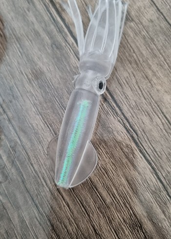 5 Adet Yavru Kalamar - Görsel 2