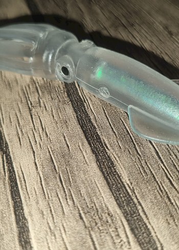 5 Adet Yavru Kalamar - Görsel 4