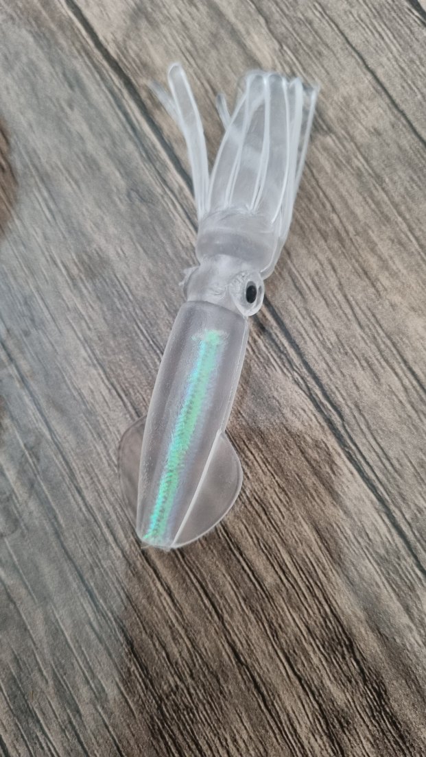 5 Adet Yavru Kalamar - Görsel 2