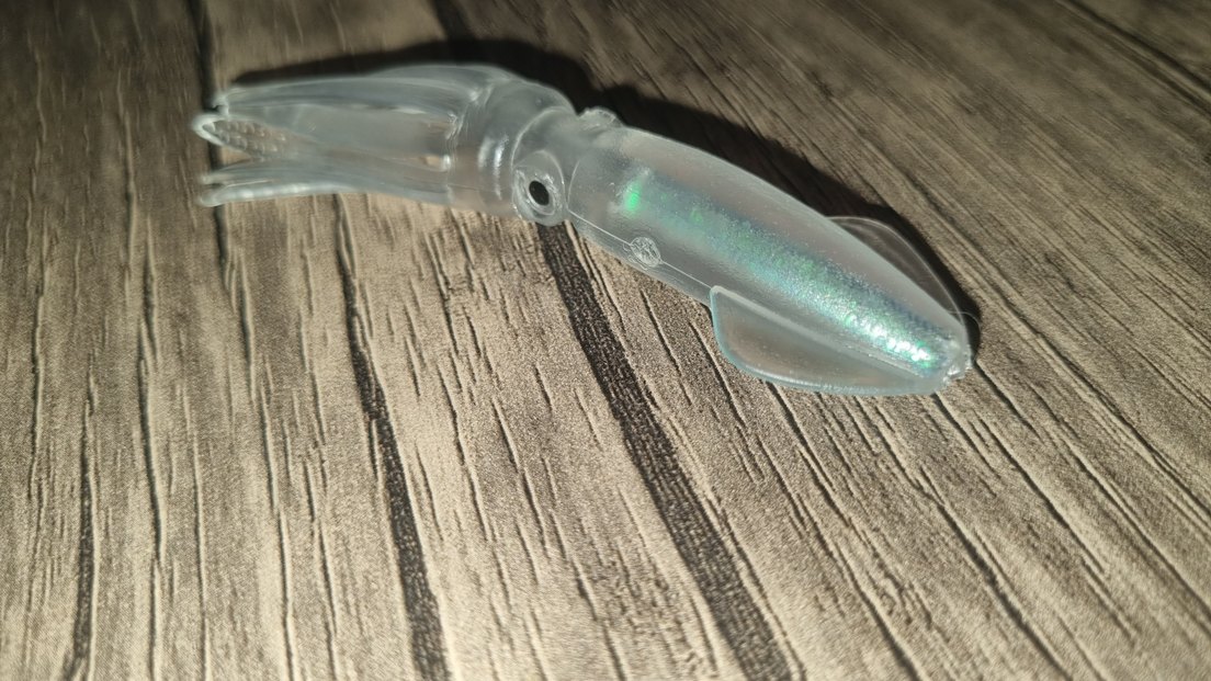 5 Adet Yavru Kalamar - Görsel 4