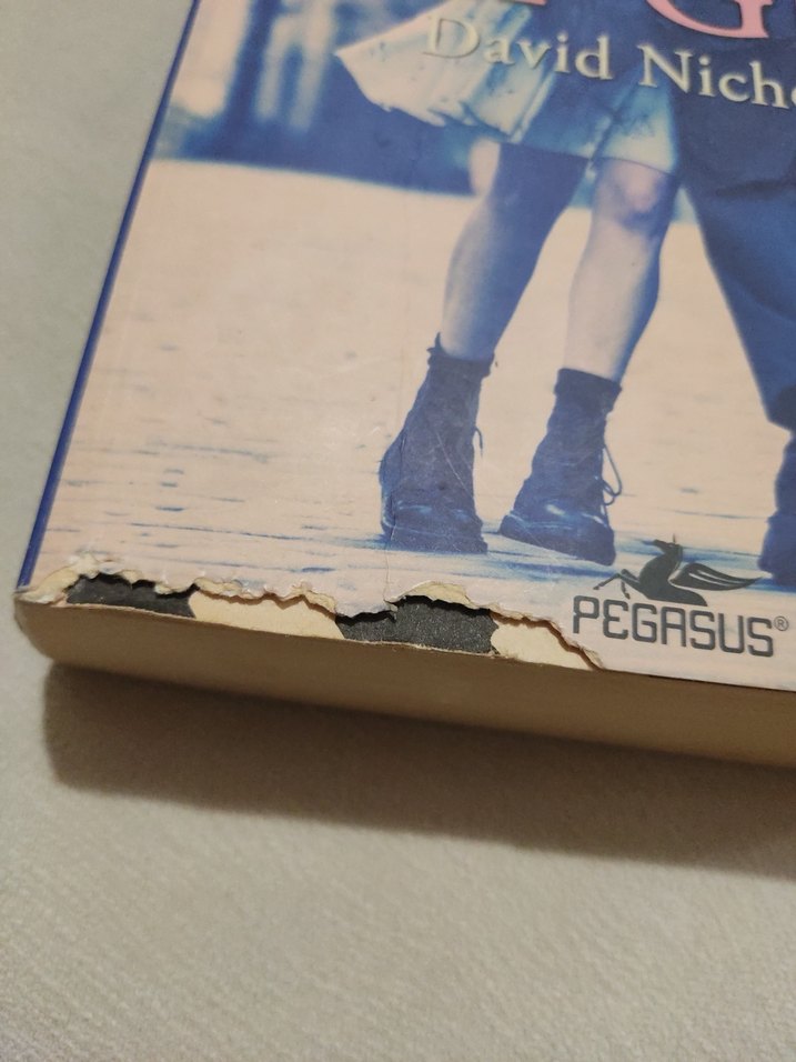 Bir Gün - David Nicholls - Görsel 2