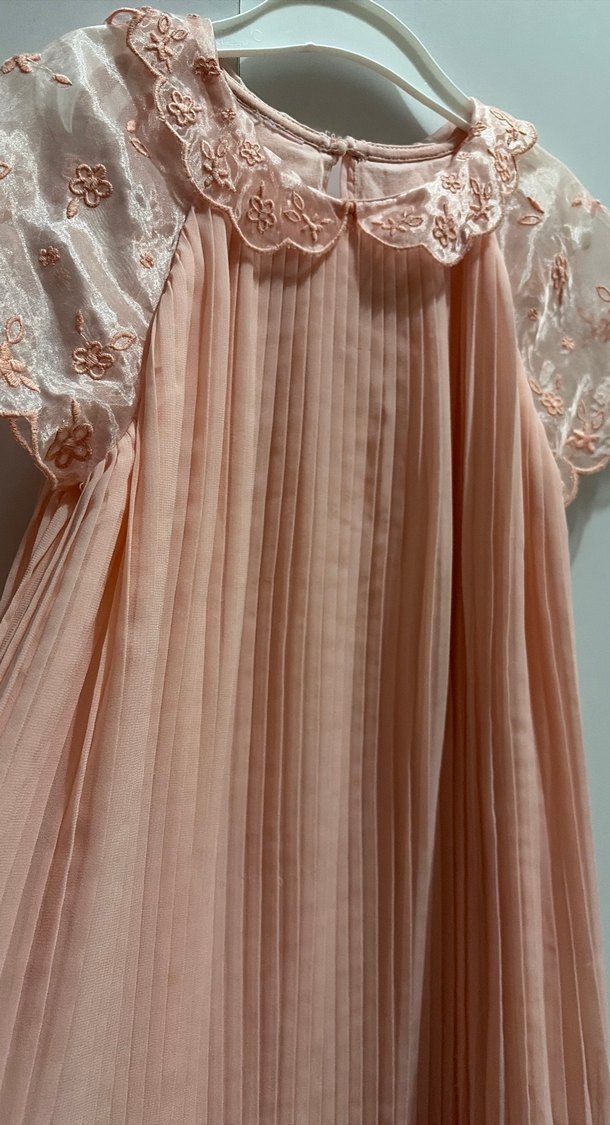 Pembe Piliseli Nakışlı Kız Elbisesi - Görsel 4