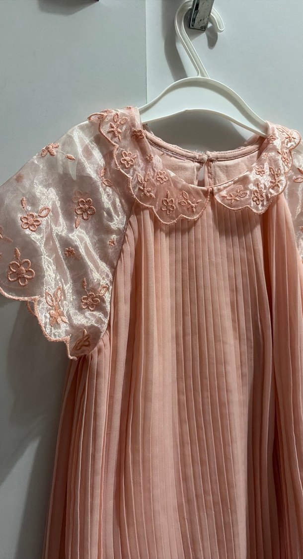 Pembe Piliseli Nakışlı Kız Elbisesi - Görsel 2