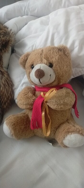 Peluş ayıcık 