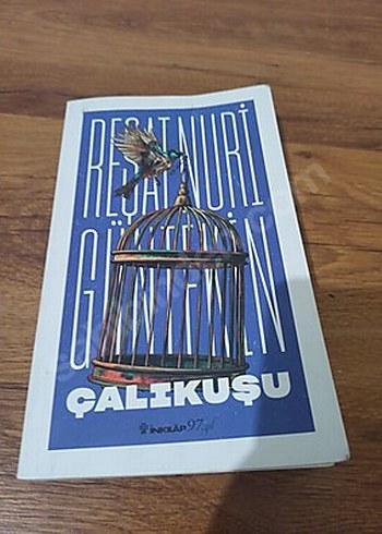 Çalıkuşu Roman Kitabı