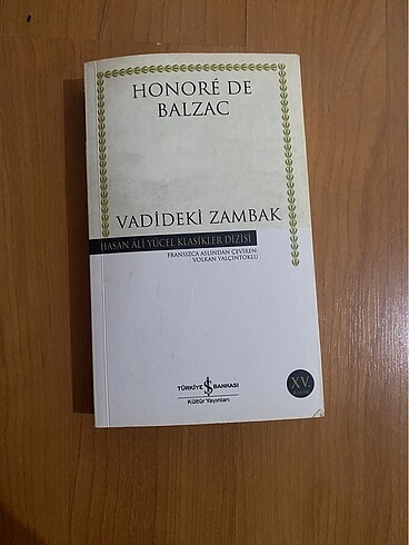 vadideki zambak- kitap