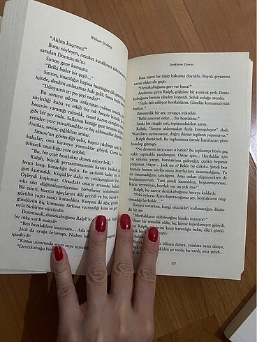  Beden sineklerim tanrısı- kitap