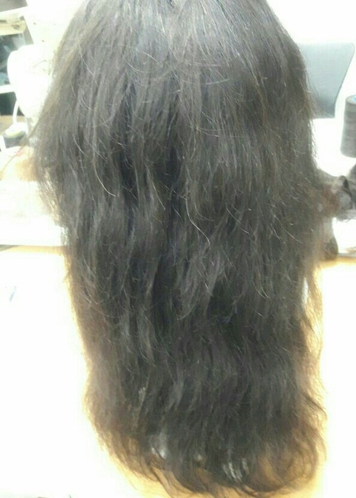 Tülperuk - Görsel 2