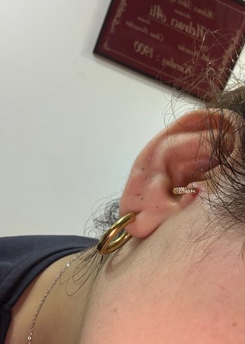 çelik halka tragus