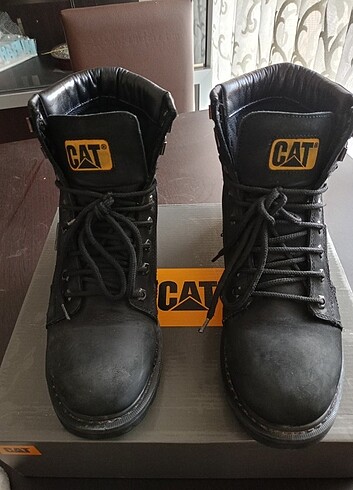 Cat Cat Erkek Bot orjinal