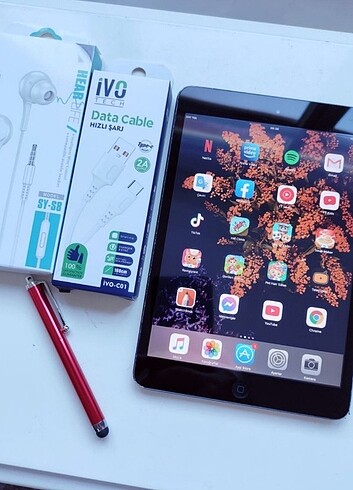 iPad Mini TR Apple A1455 Sorunsuz+Kalem