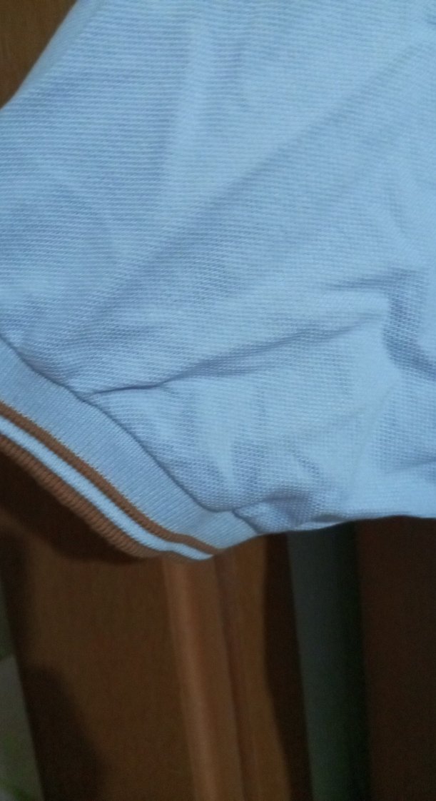 mavi Pamuklu Kısa Kollu Polo Tişört - Görsel 2