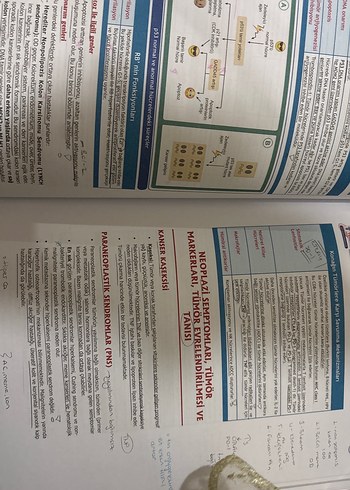 Patoloji, Dahiliye, Anatomi, Pediatri Kitap Seti - Görsel 2