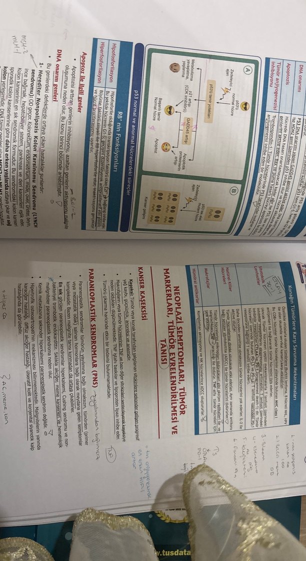 Patoloji, Dahiliye, Anatomi, Pediatri Kitap Seti - Görsel 2