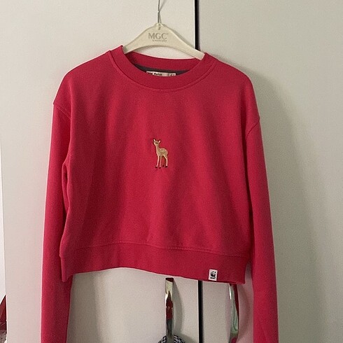 Wwf sweatshirt - Görsel 6